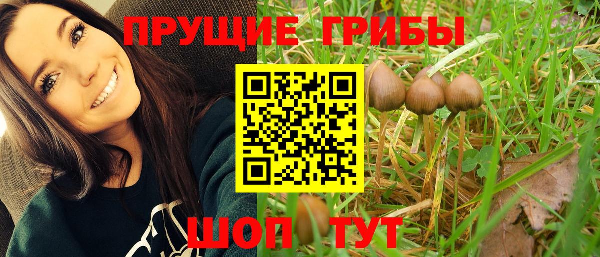 Псилоцибиновые грибы Magic Shrooms Альметьевск
