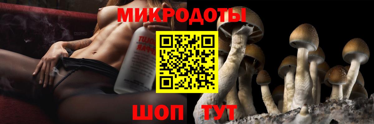 Псилоцибиновые грибы мухоморы  Псилоцибиновые грибы Cubensis  Вход с VPN  где купить наркоту  Альметьевск 